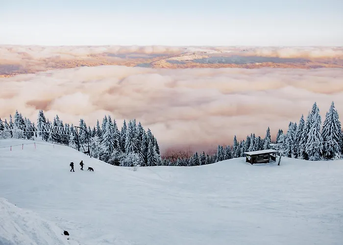 Hotel Orea špičák šumava 3*